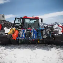 Tutti sul gatto!