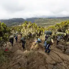 Sul sentiero per lo Shira Camp