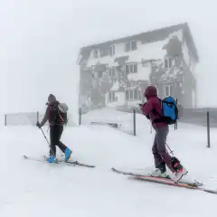 Di nuovo nella nebbia