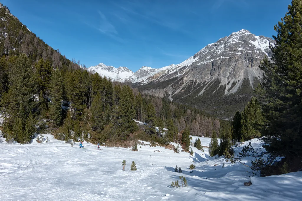 Dopo l’Alpe Buffalora