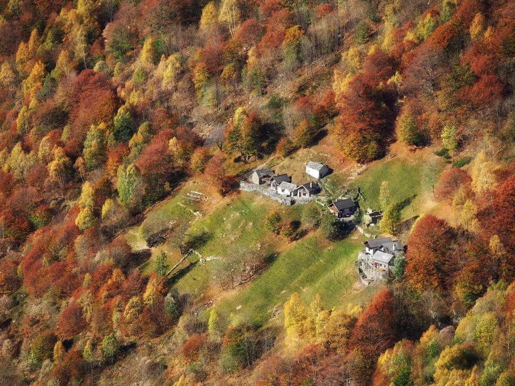 Alpe la Piana