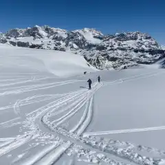 Il gruppo del Bernina