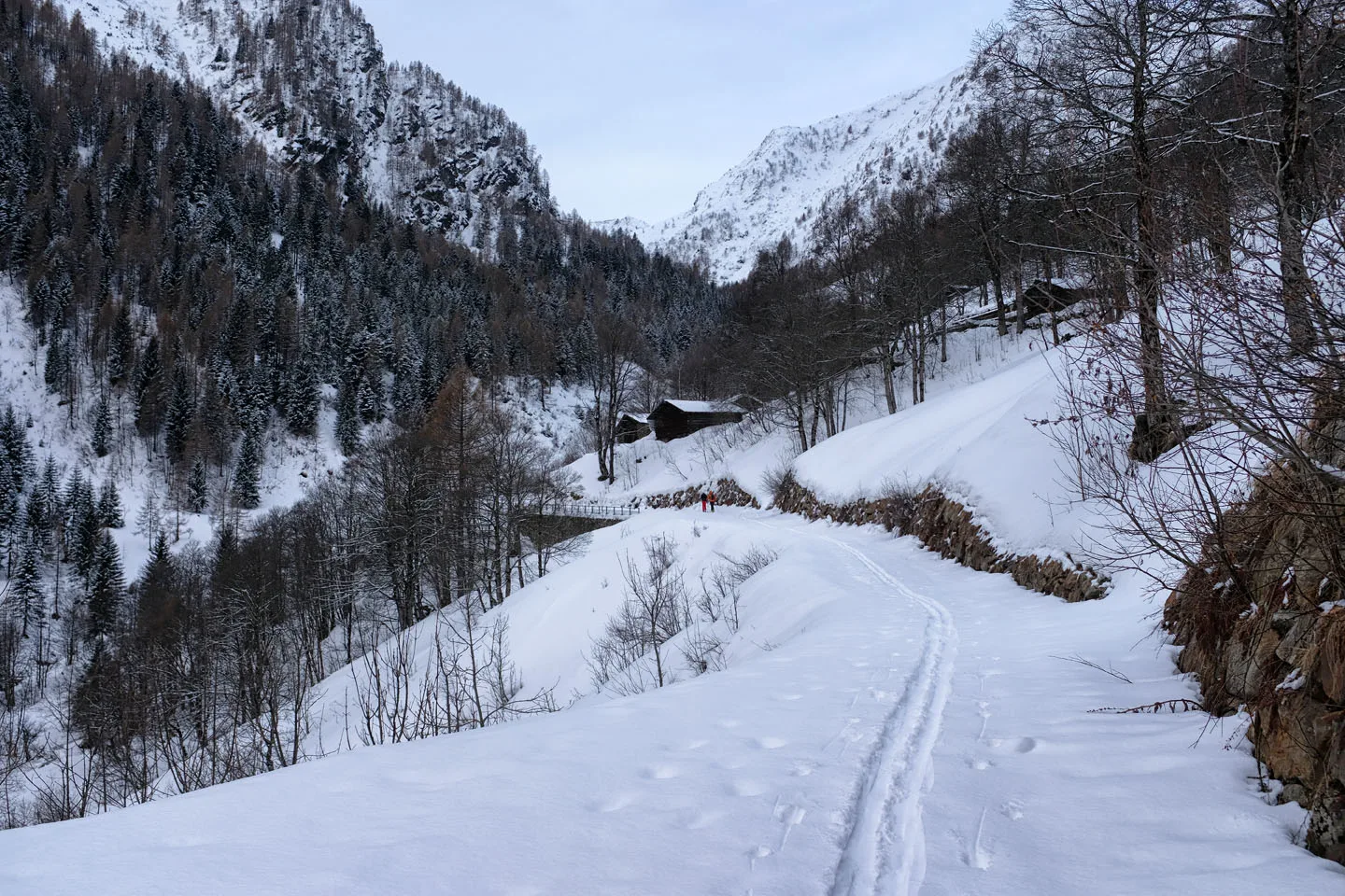 Scialpinismo Mellasc, La Val Vedrano da Castello