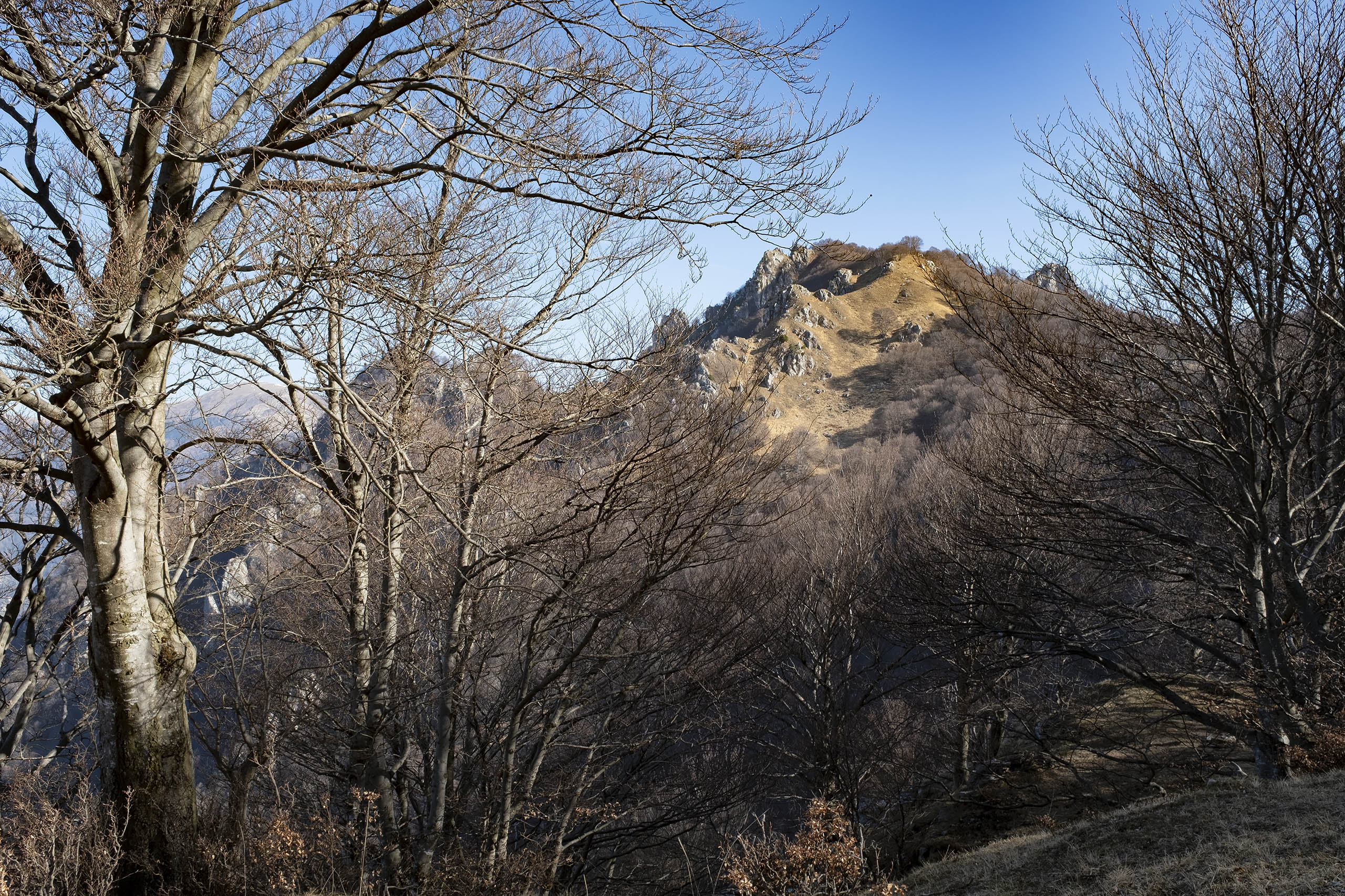 Denti della vecchia, dal Passo Biscagno