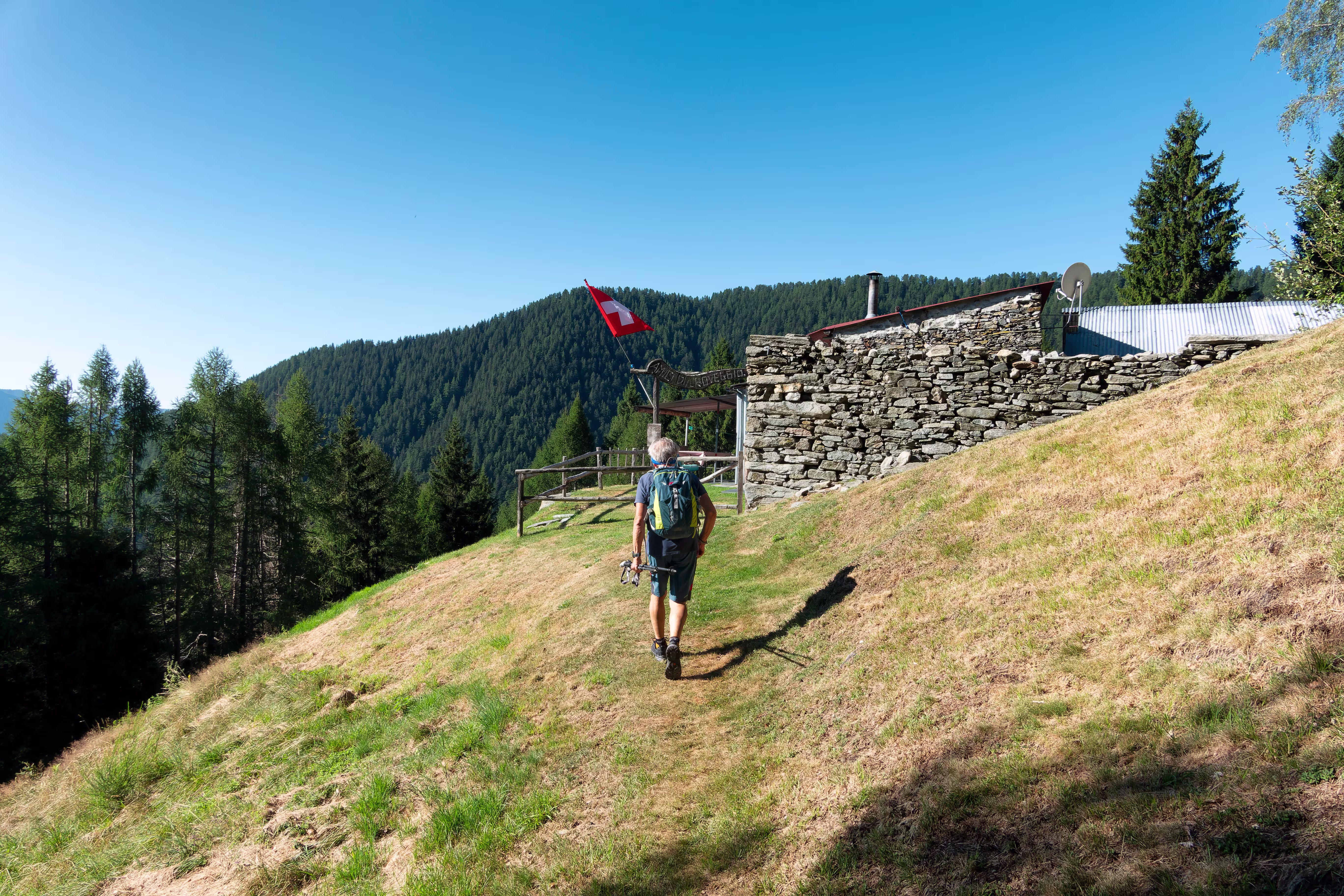 Sul traverso nel bosco