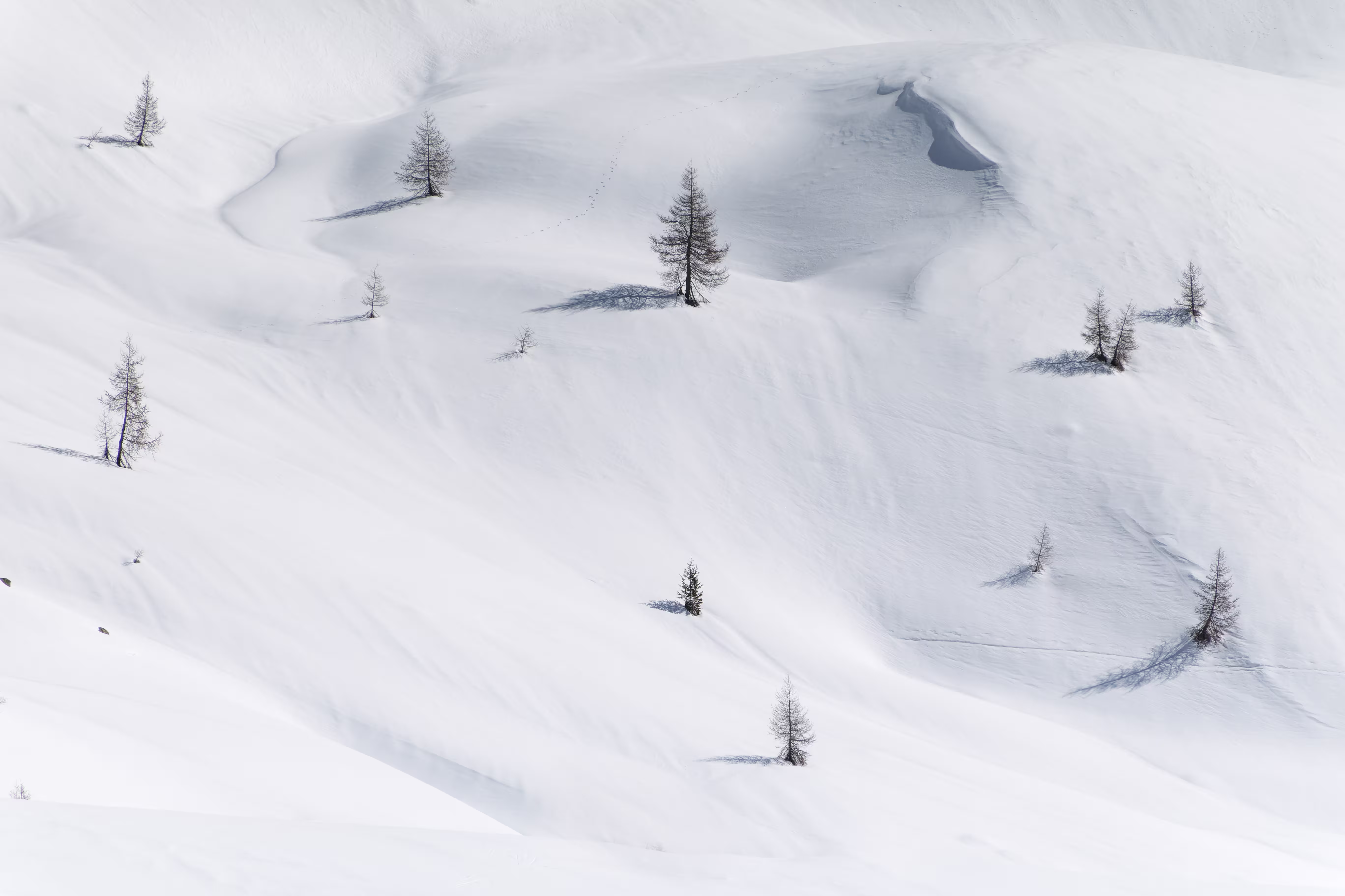Ultimi scenari invernali