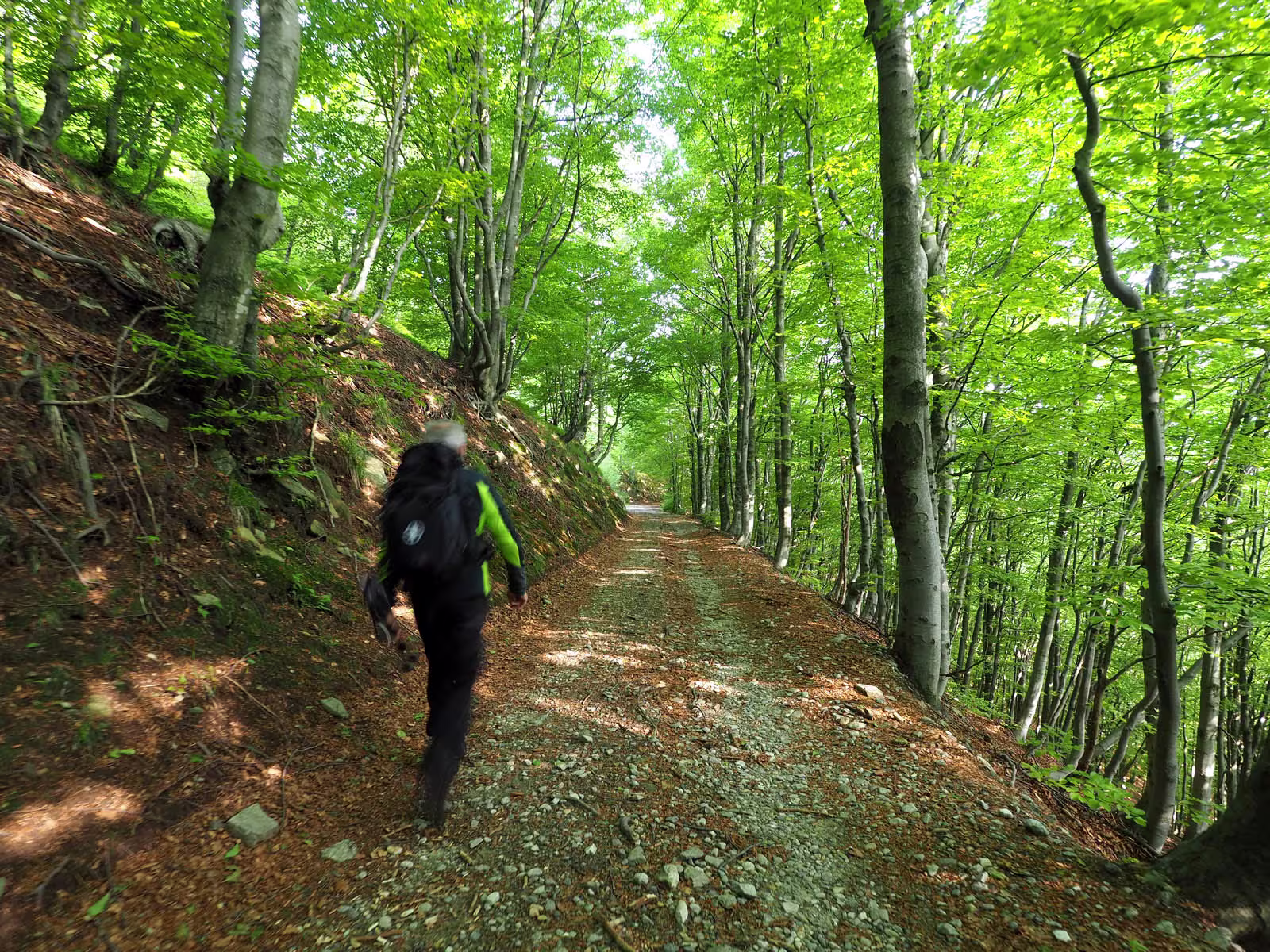 Partenza dal Passo Folungo