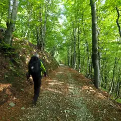 Partenza dal Passo Folungo