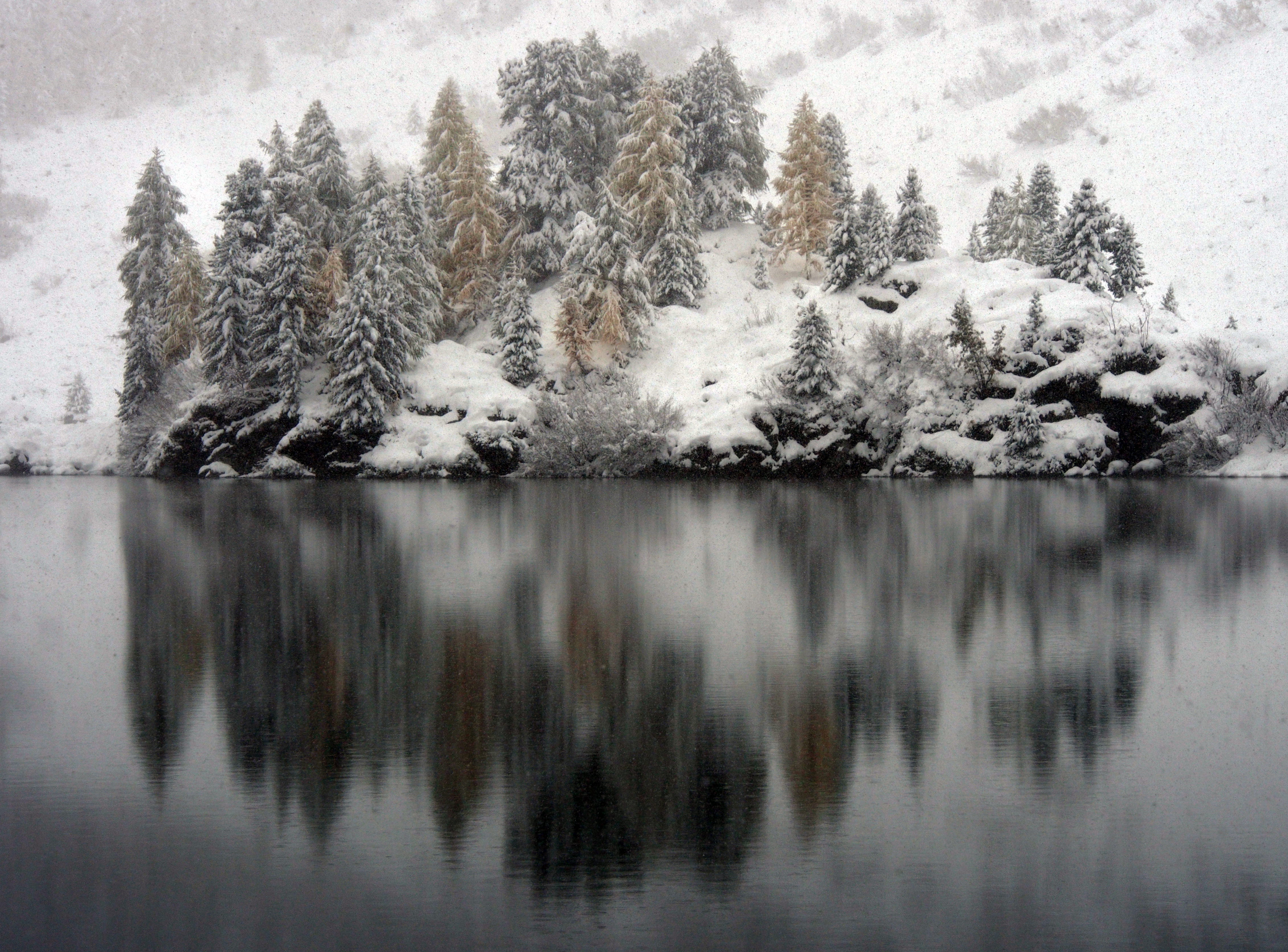 Ciaspolata al Lago Cavloc