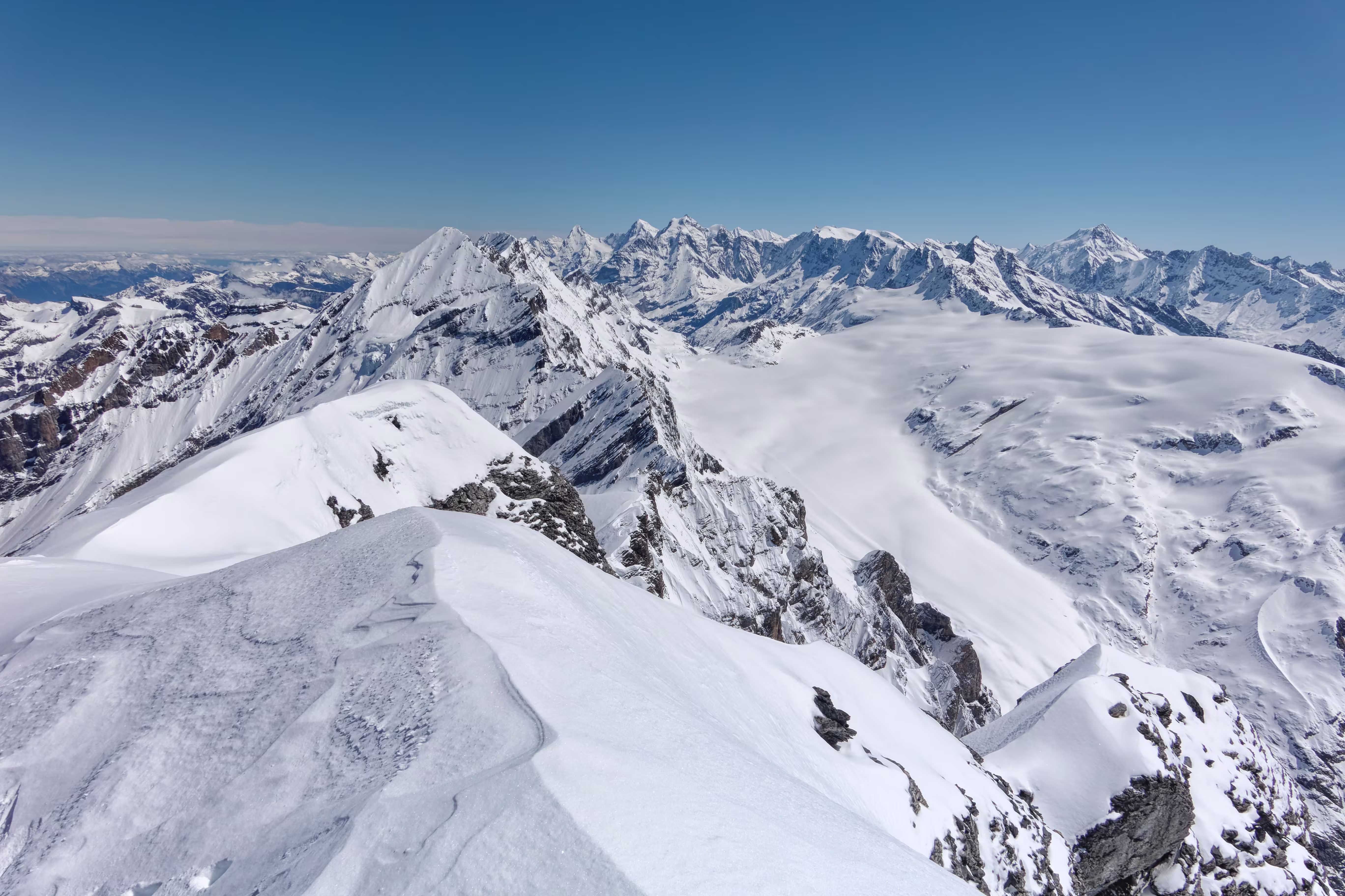 Eiger, Monch e Jungfrau dalla vetta, con sotto il Kanderfirn