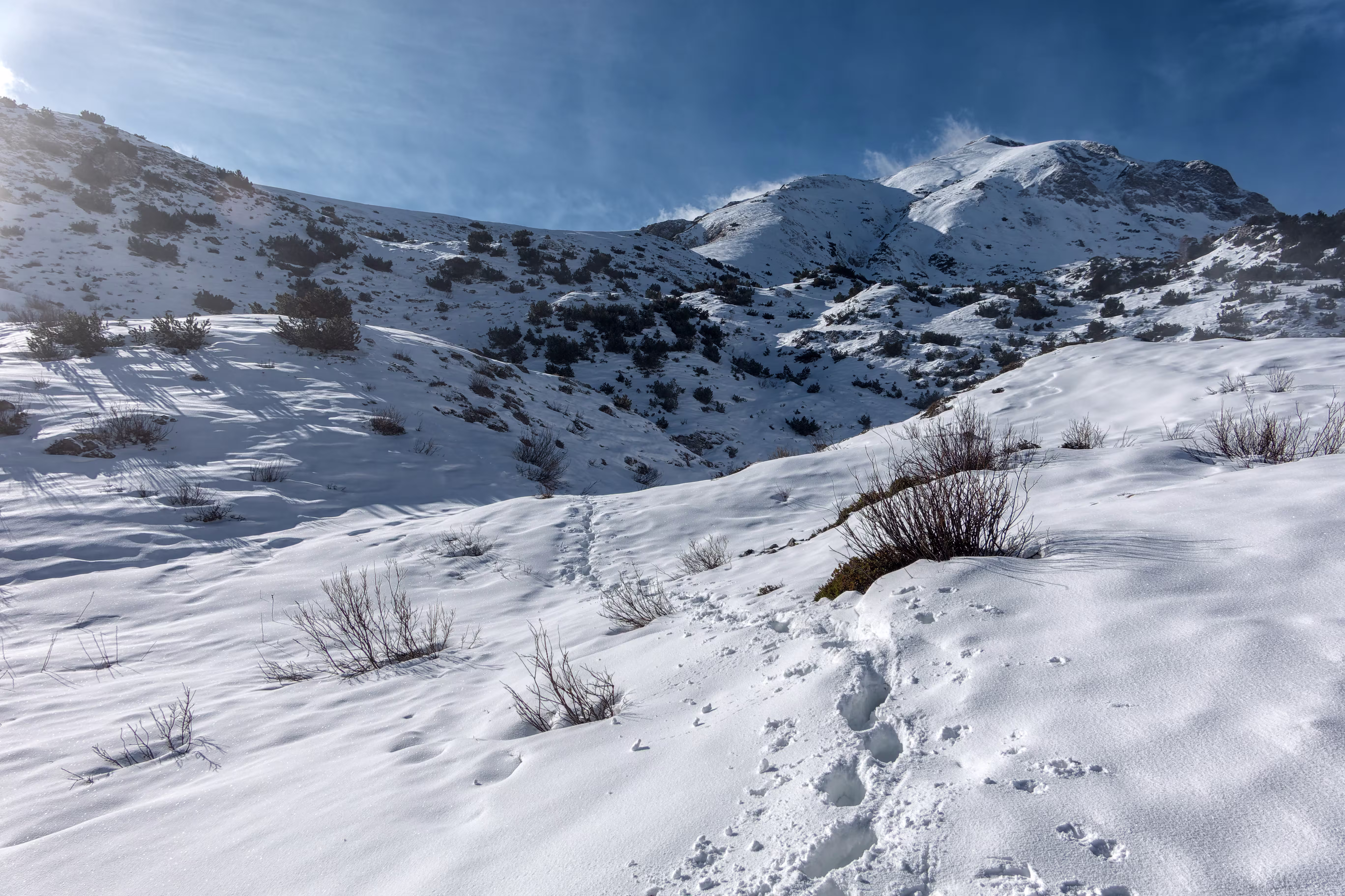 La Cresta dei Fiori dall’Alpe Campione