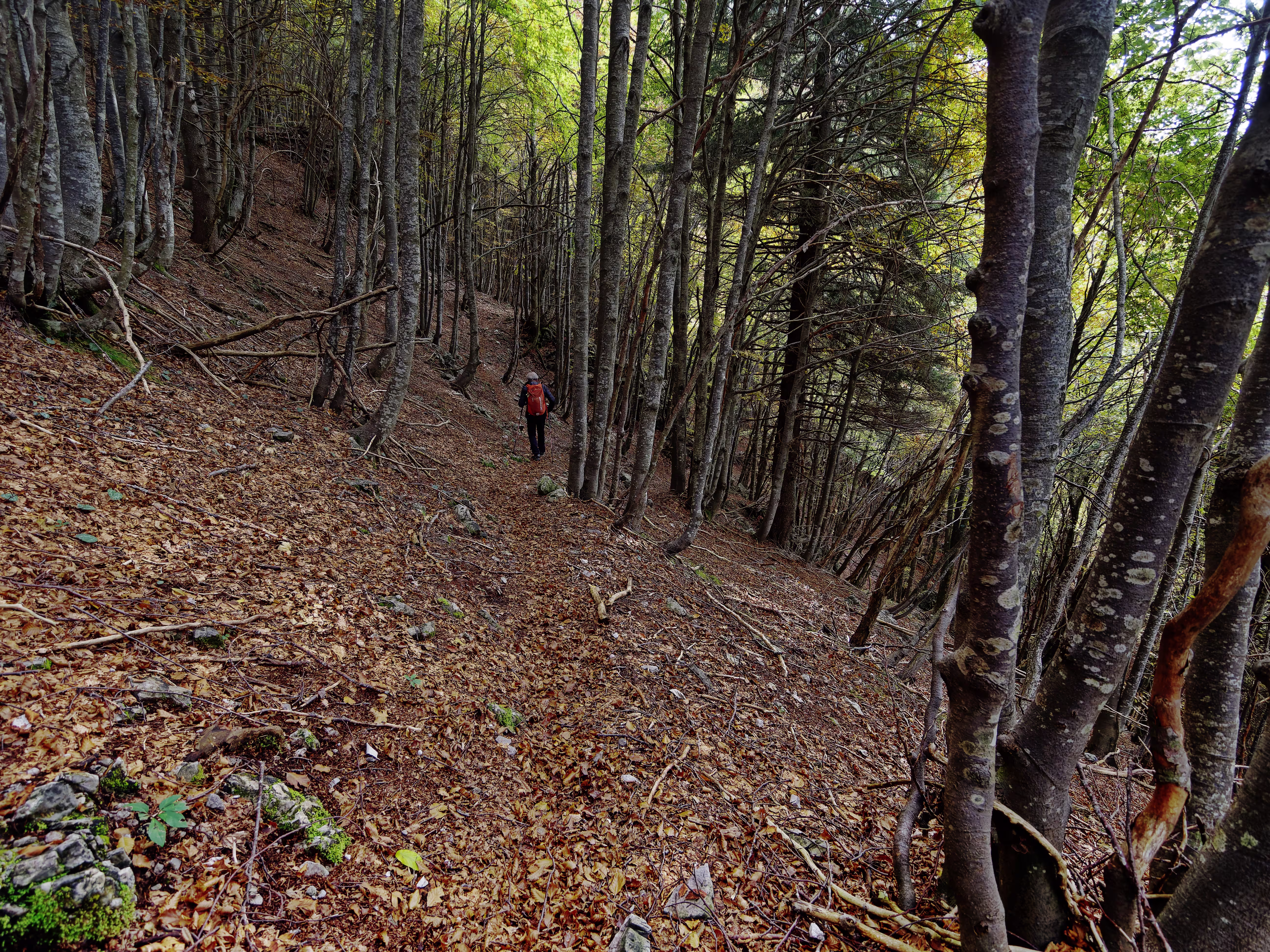 Discesa dal Passo Grialeggio