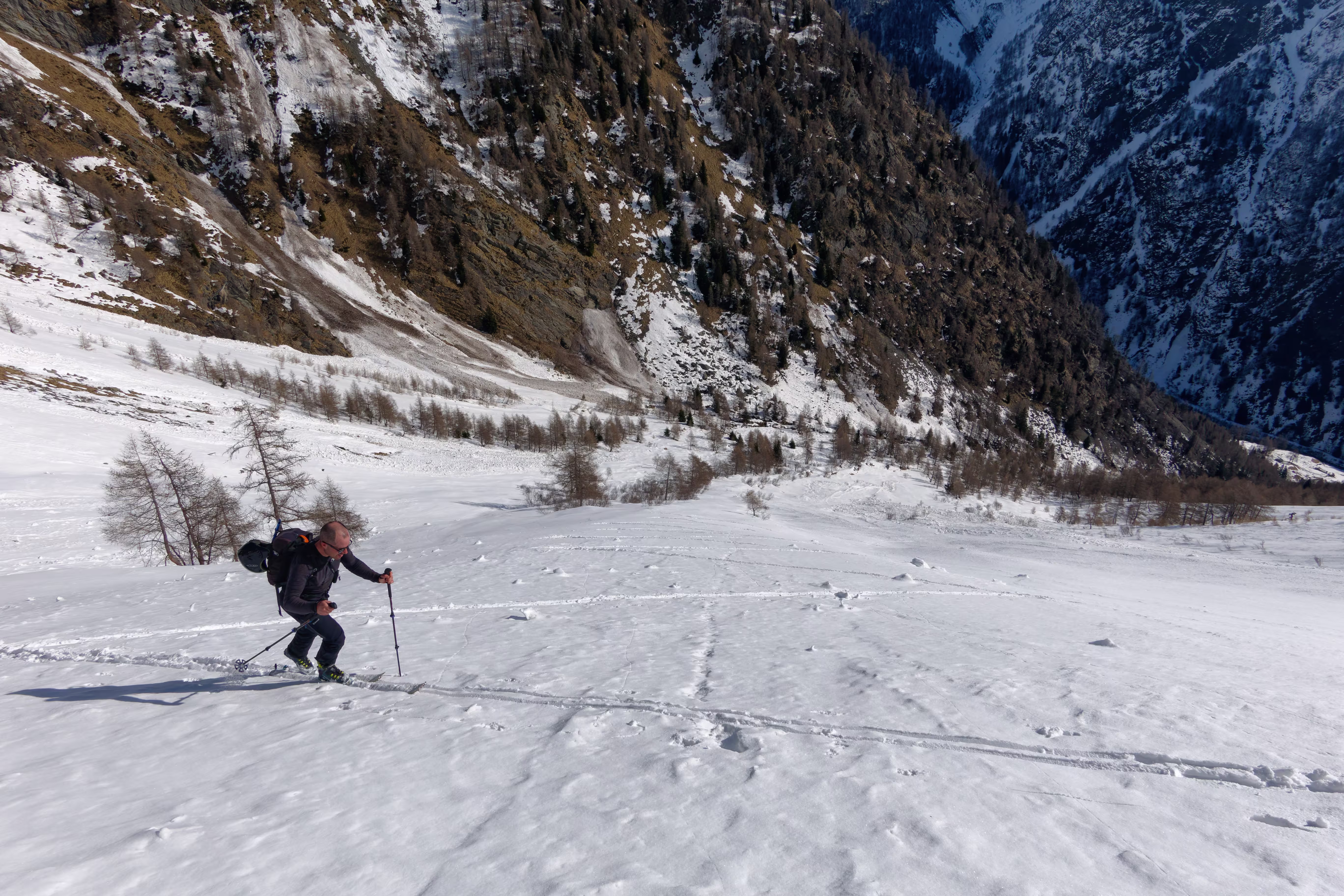 Numerose pertichette alla base del canale
