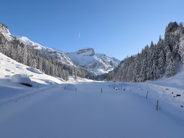 La testata della Hürital