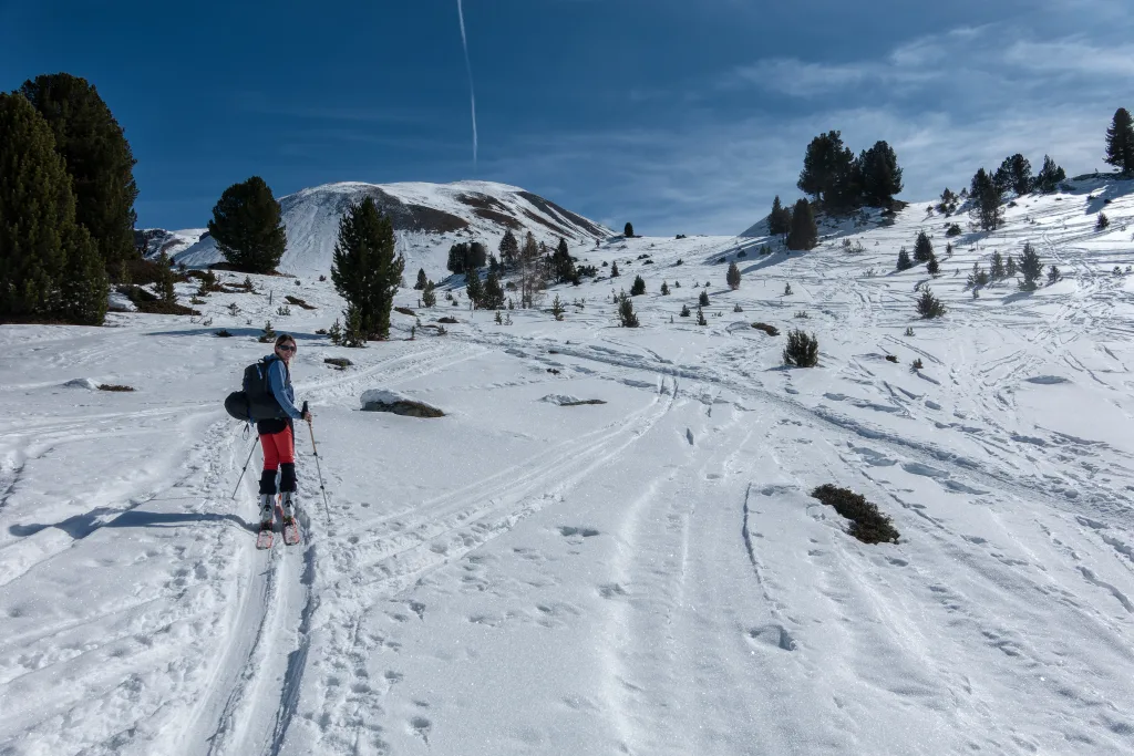 In Vista della dorsale