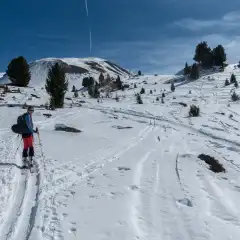 In Vista della dorsale