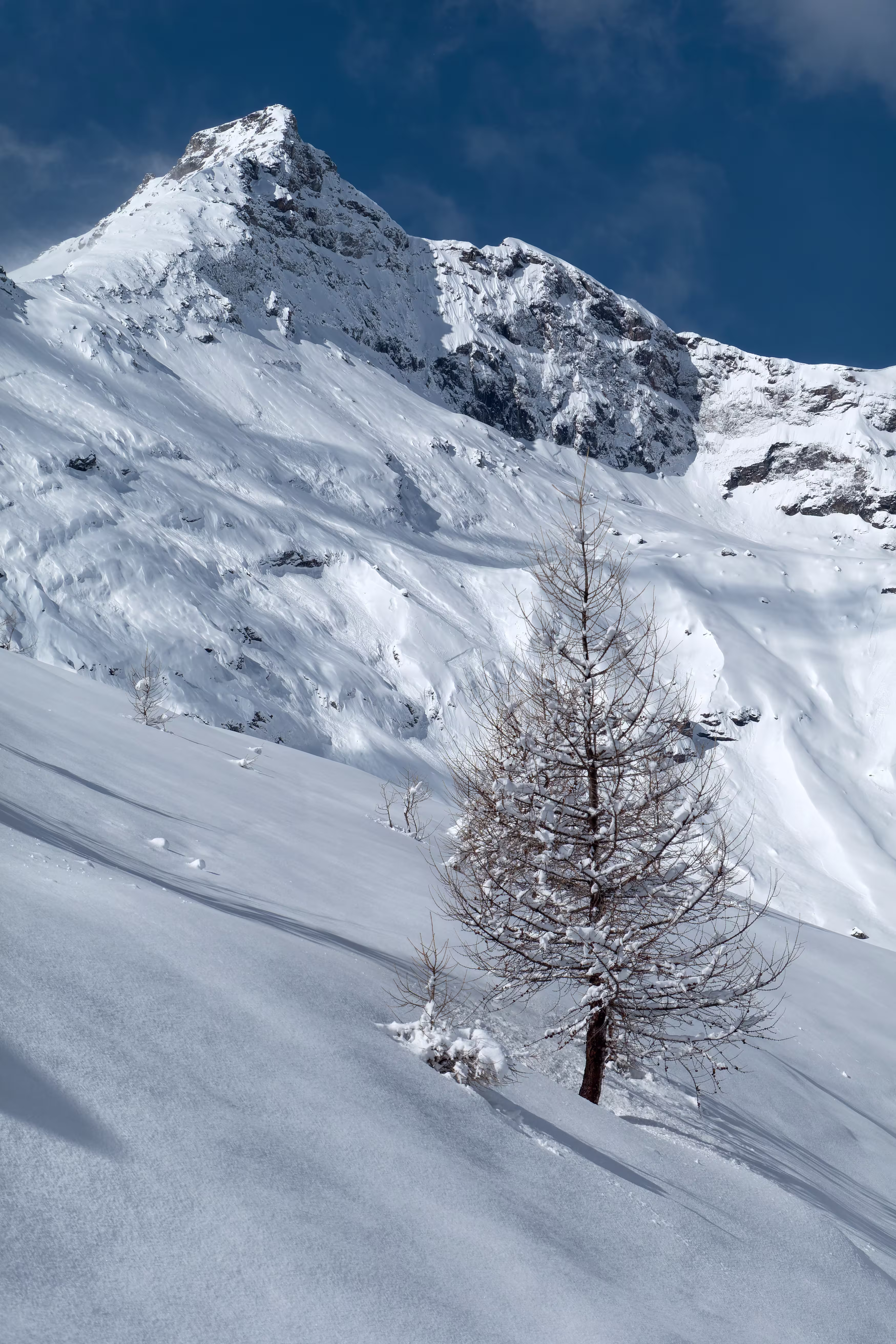 Scorcio del Pizzo Quadro