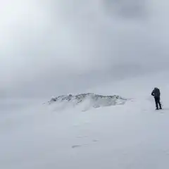 Parte bassa nella nebbia