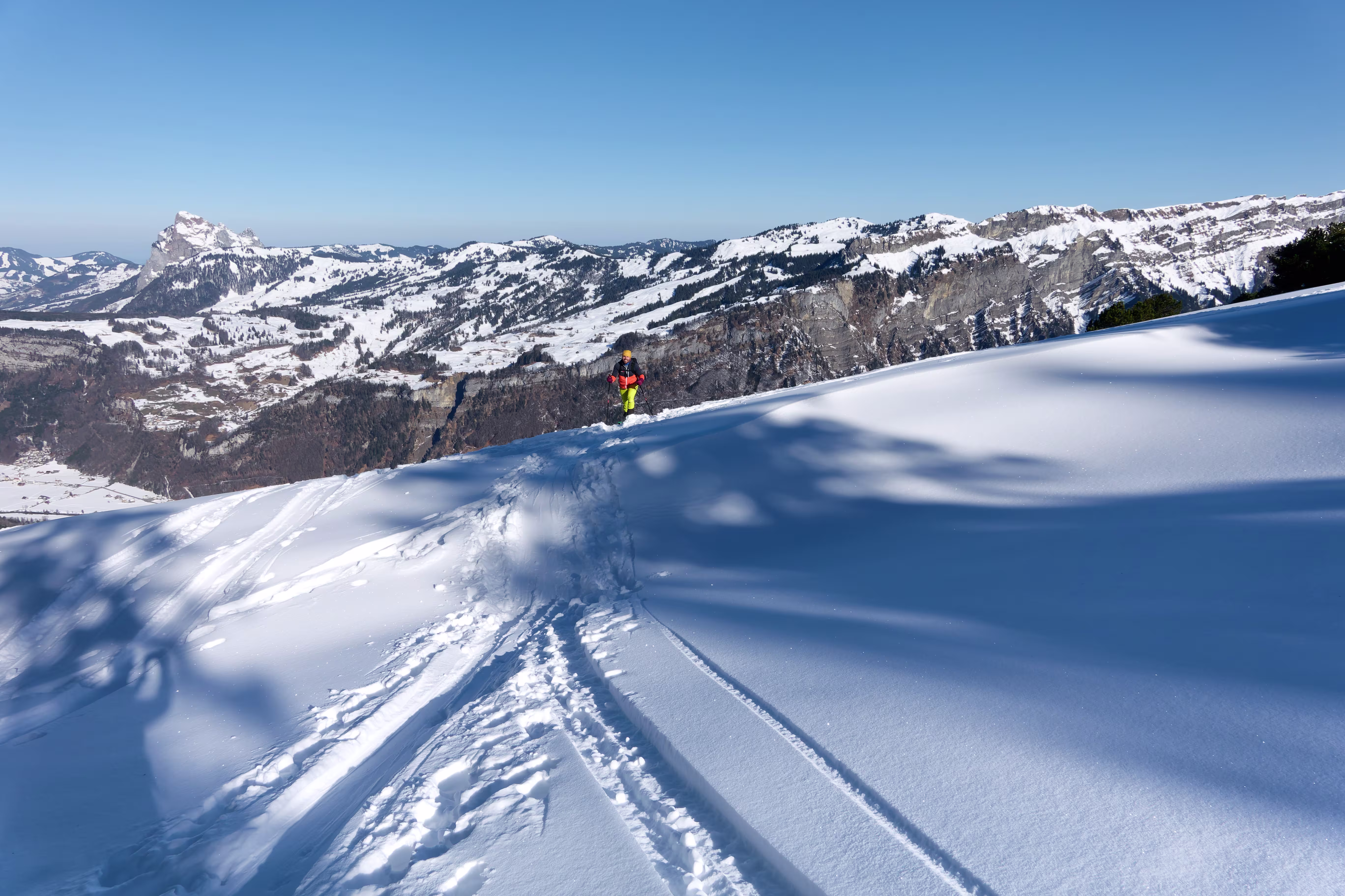 Verso la fine del bosco