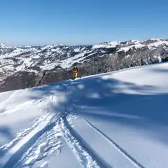 Verso la fine del bosco