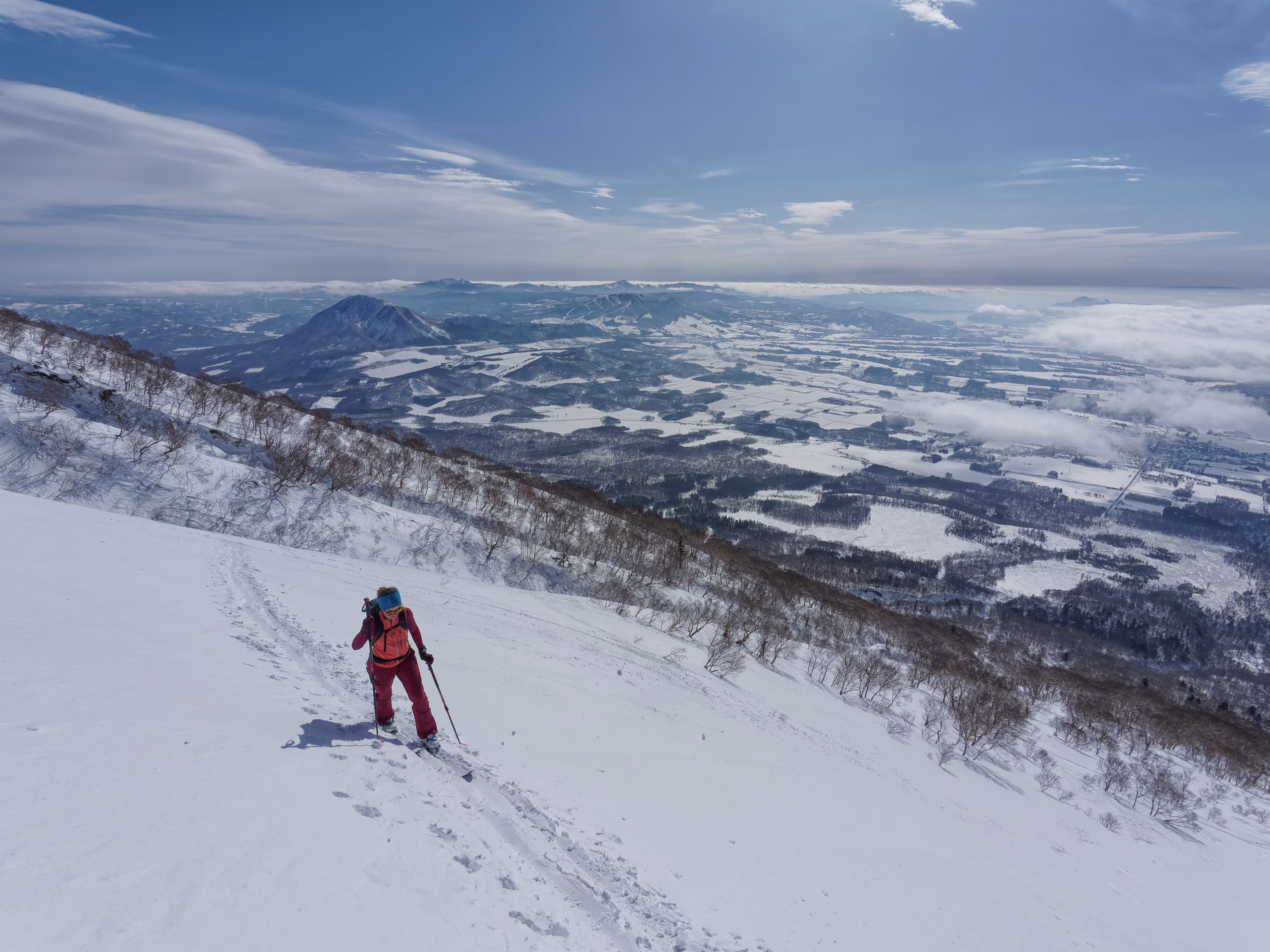 Nella parte alta del cono