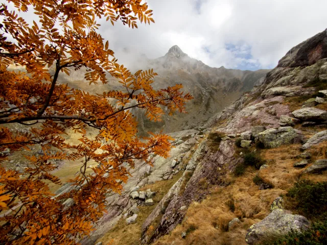 Vista autunnale del Pizzo Tre Signori