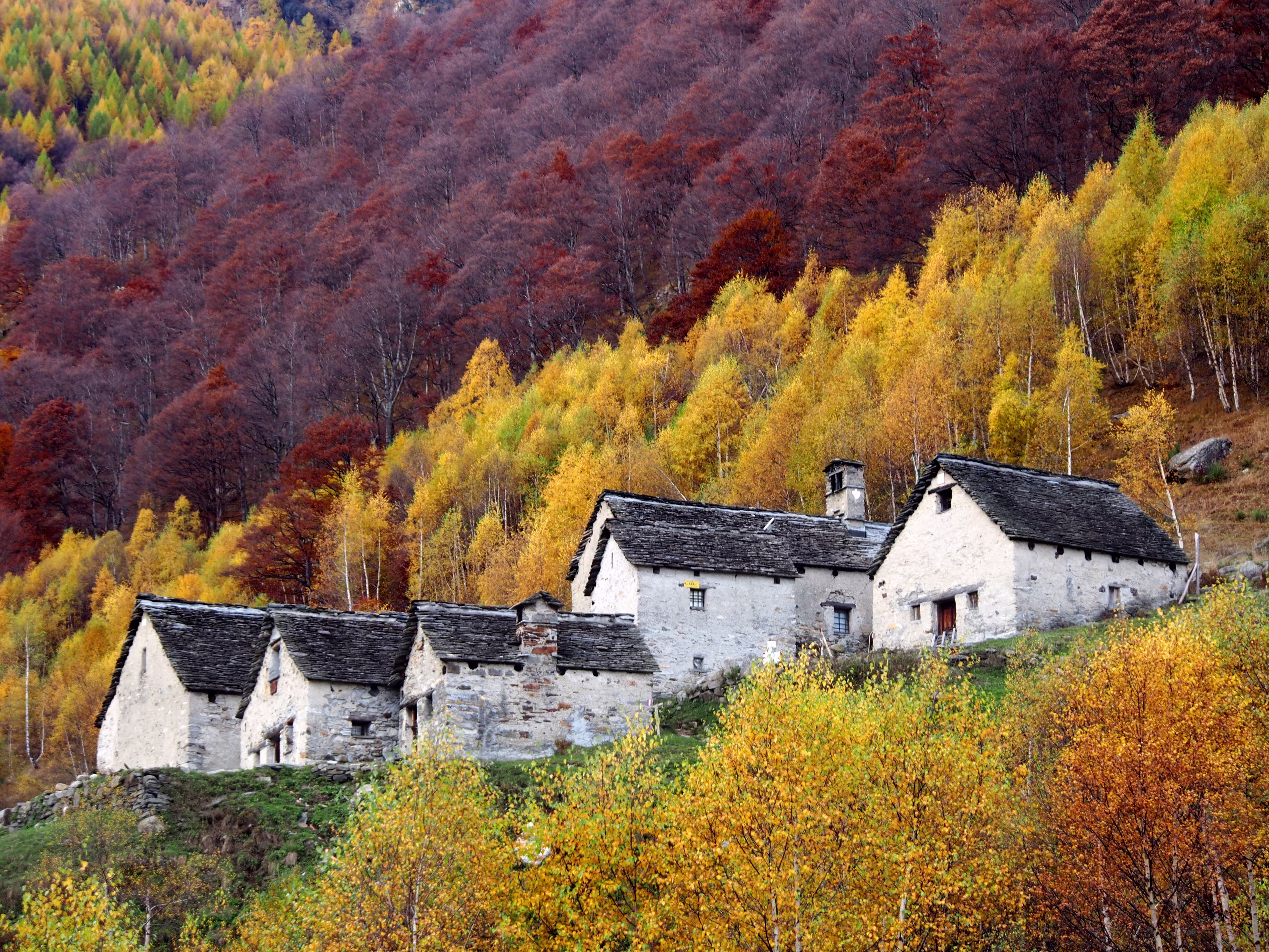 L’Alpe Erta