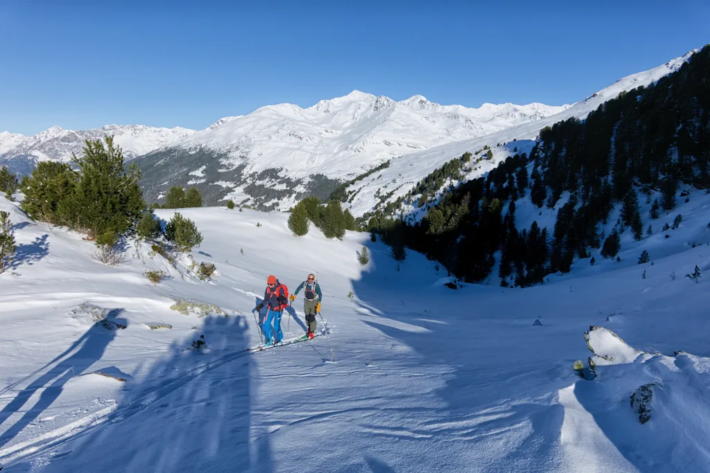 Quasi fuori dal bosco