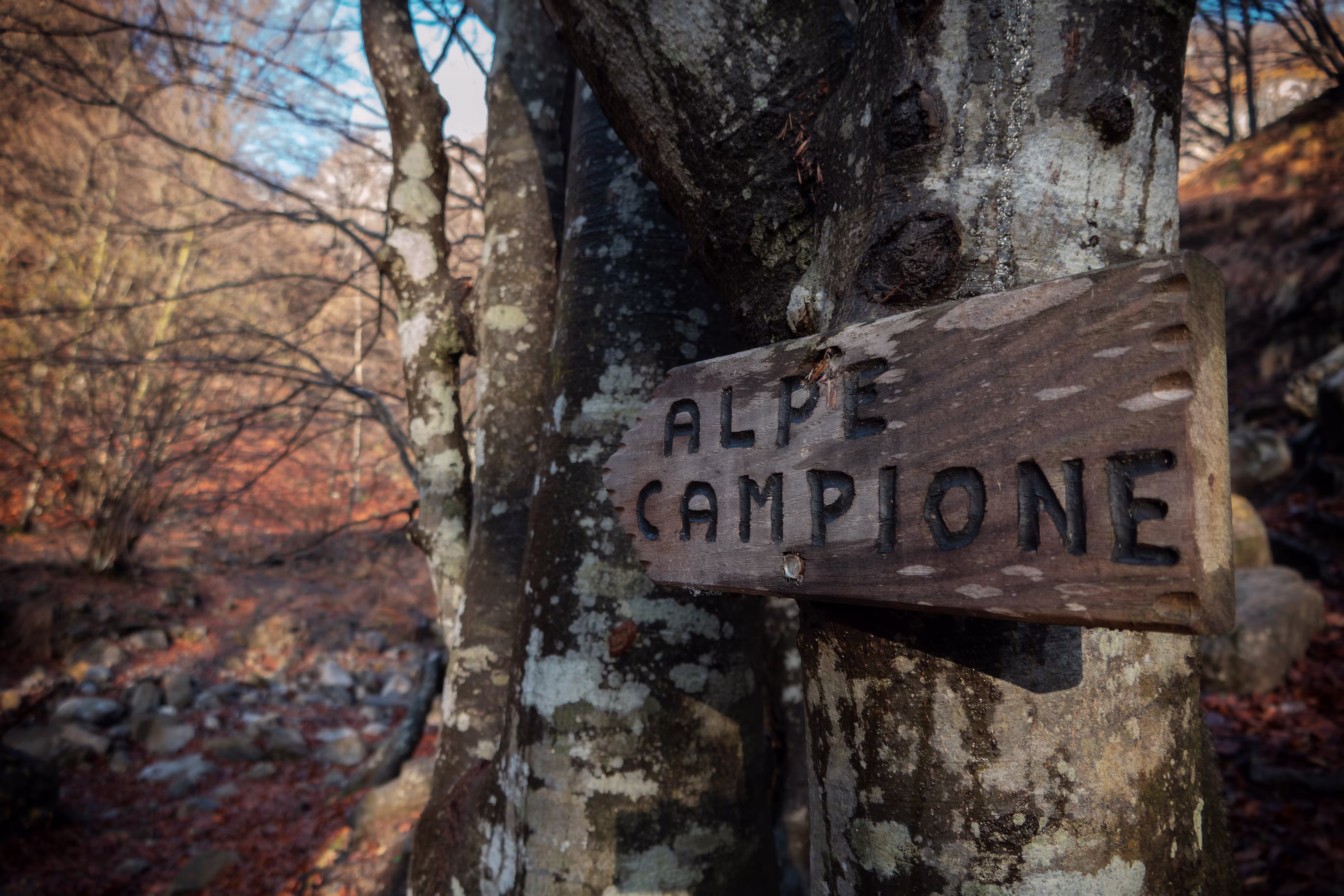 Una dei cartelli in legno che indica il percorso