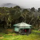 Trekking del Rwenzori, ascesa al Margherita Peak 5109m