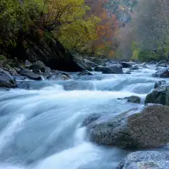 Il Rio Val Gabbio