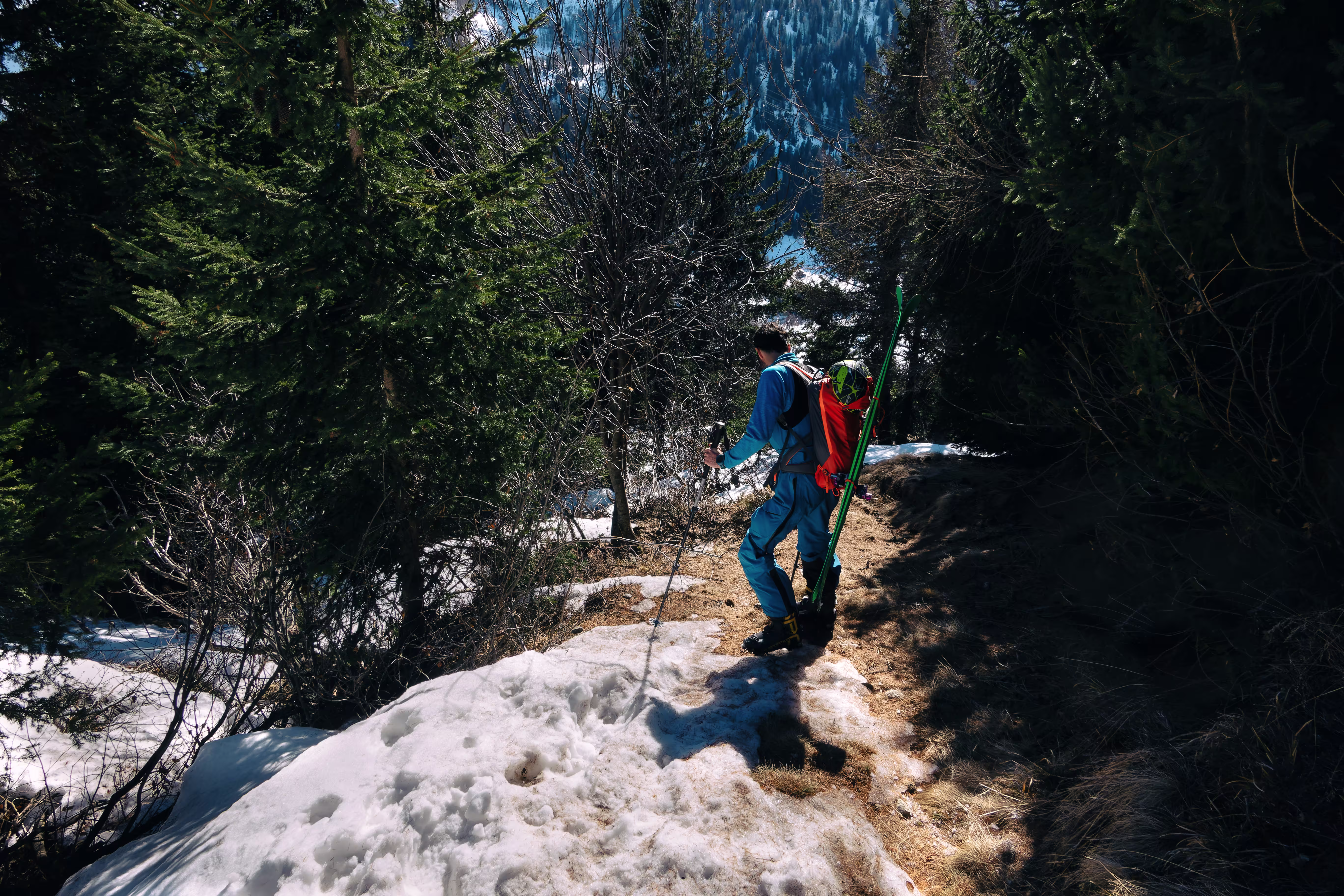 Rientro nel bosco