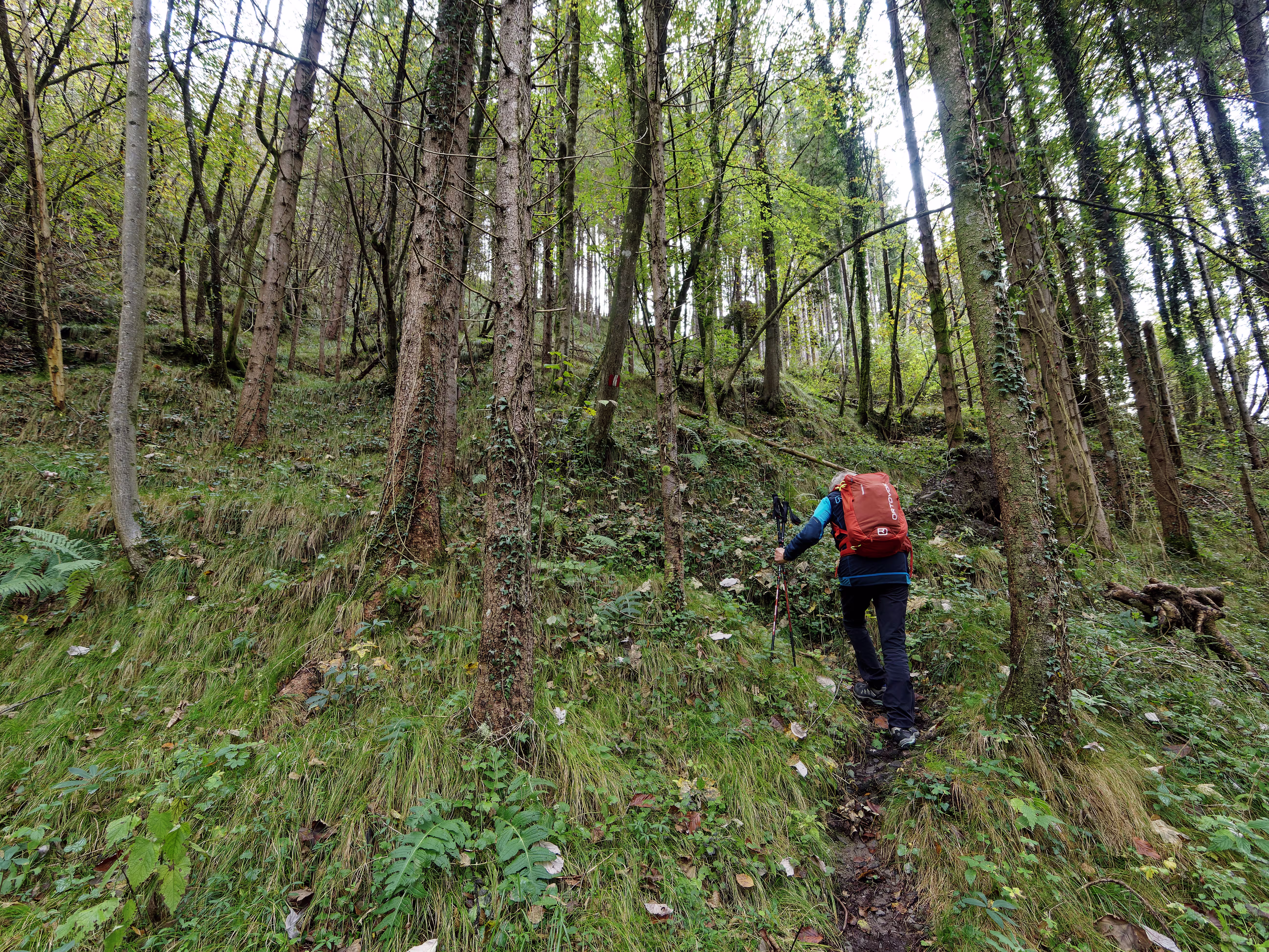 La direttissima per Cantiglio