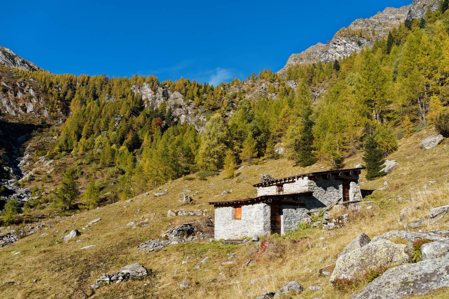 Val Piodella, l’Alpe Valle di Sopra