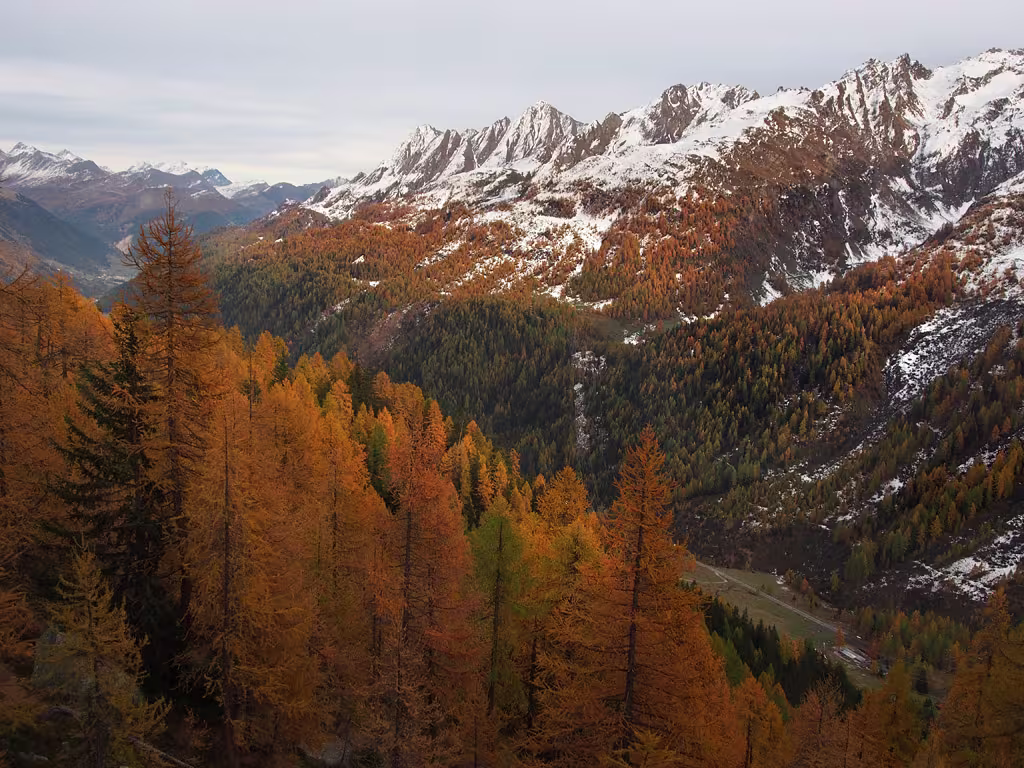 Autunno in Val Bedretto