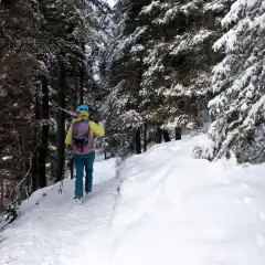 Rientro a piedi fino alla macchina