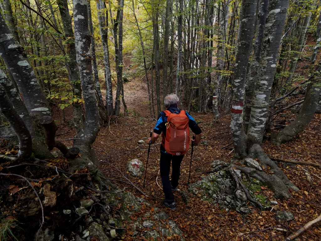 In cresta si alternano passaggi nel bosco