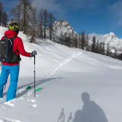 Prendiamo a sinistra per il boschetto