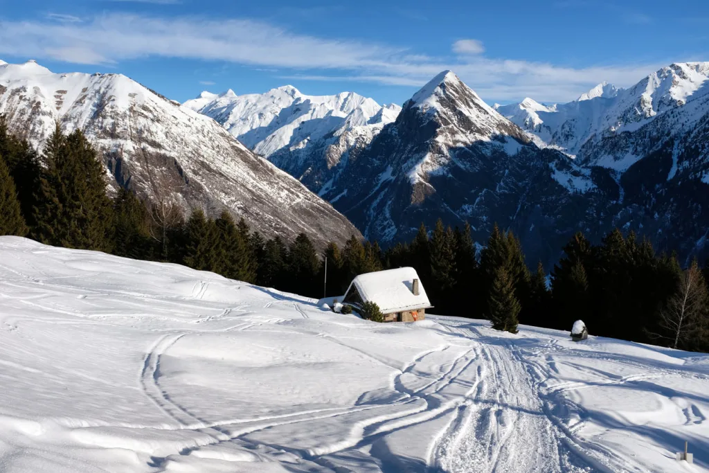 Alpeggi svizzeri