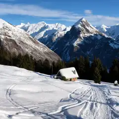 Alpeggi svizzeri