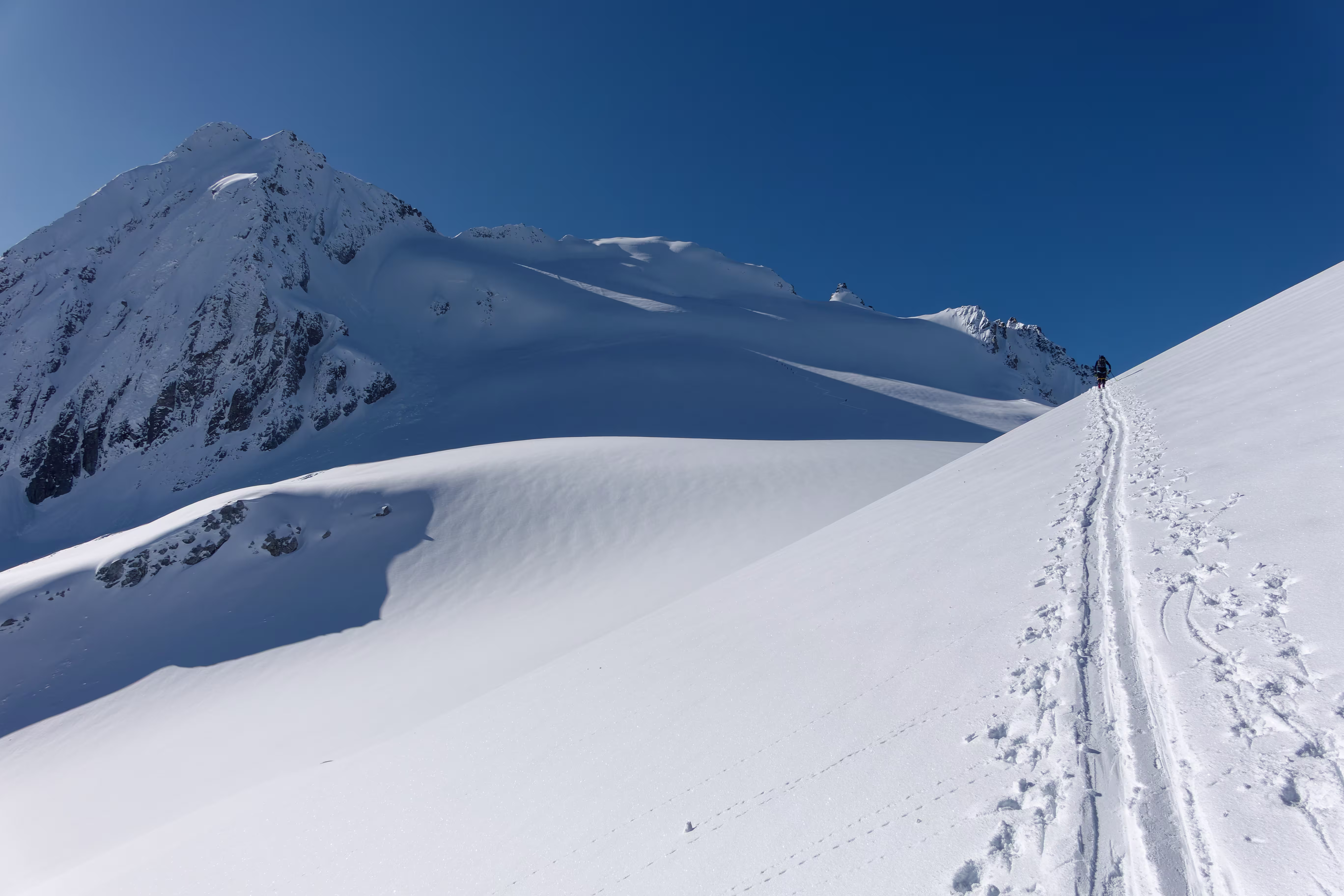 La vedretta della Presenella con la Sella Freshfield