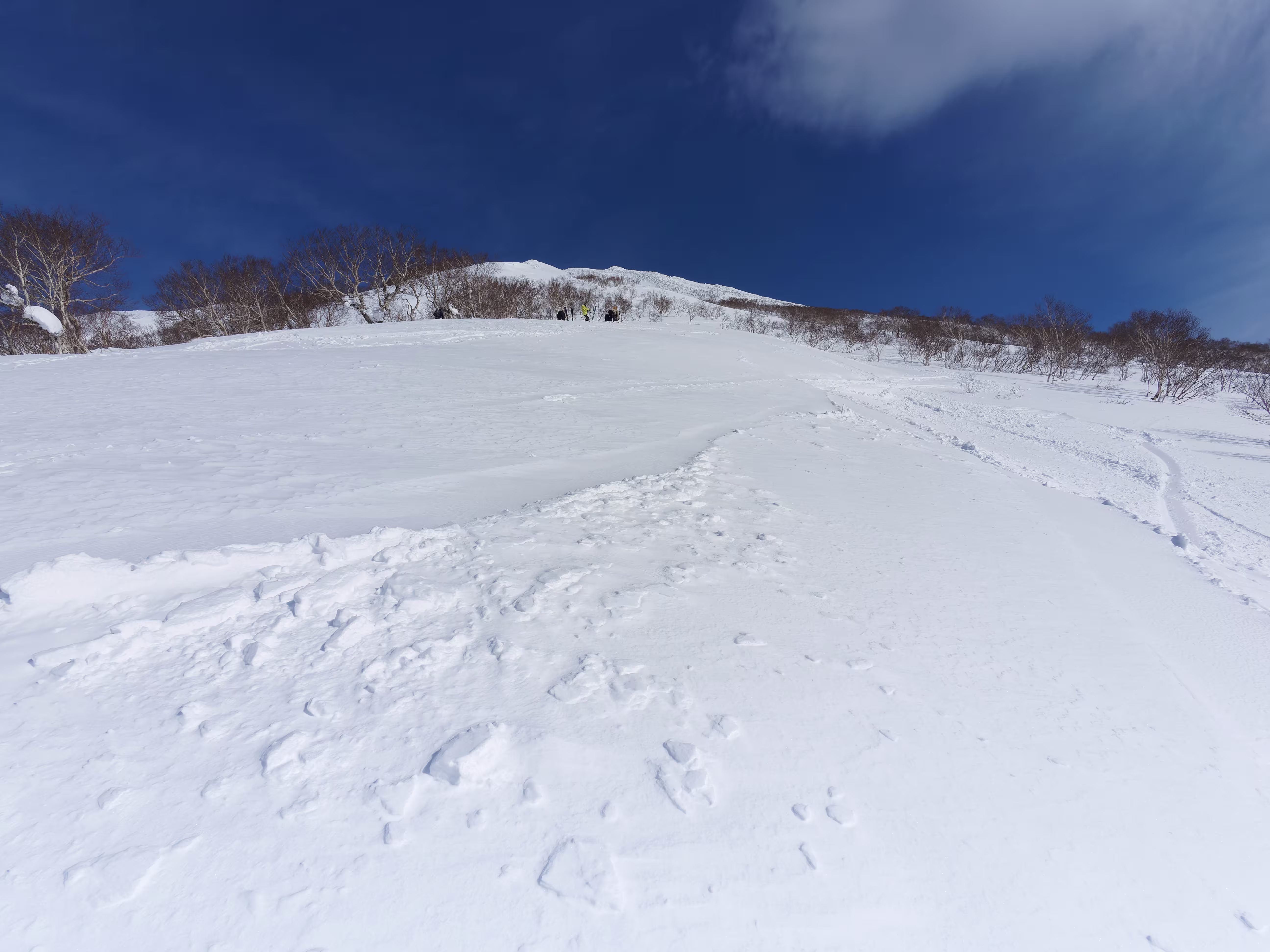 La vetta dalla fine del bosco