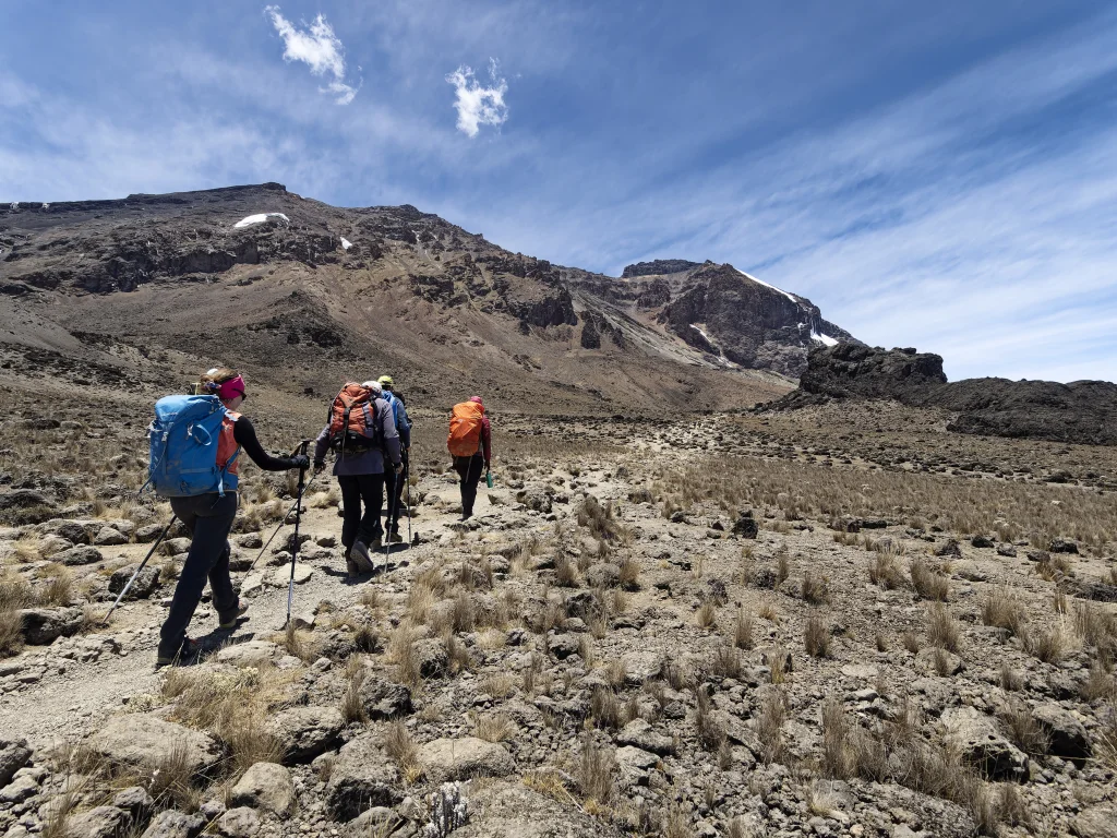 Vediamo la cima del Kili