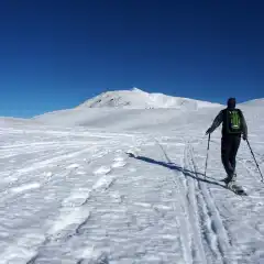 Verso la cima