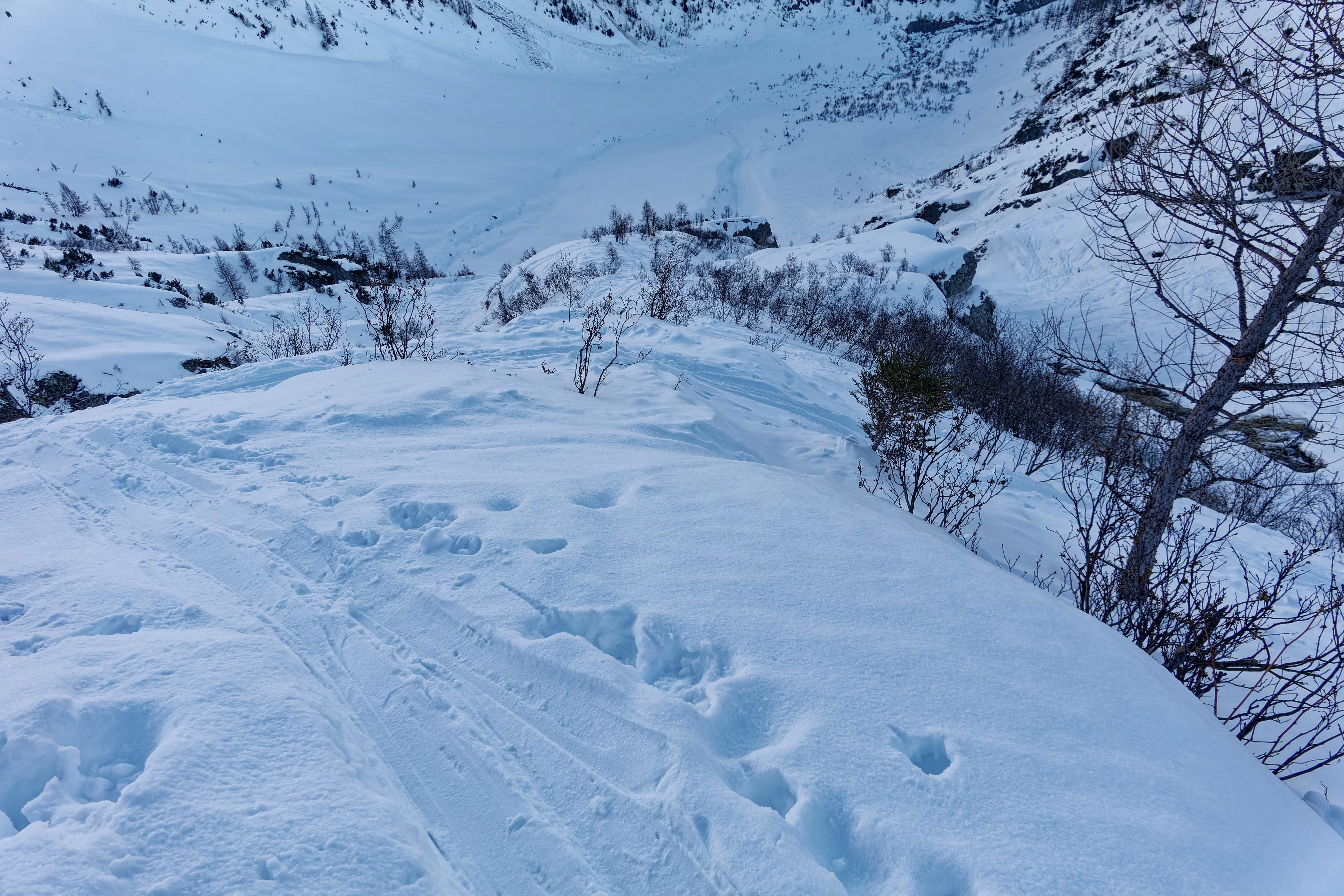 Il terreno poco agevole dopo la Piana di Stafeli