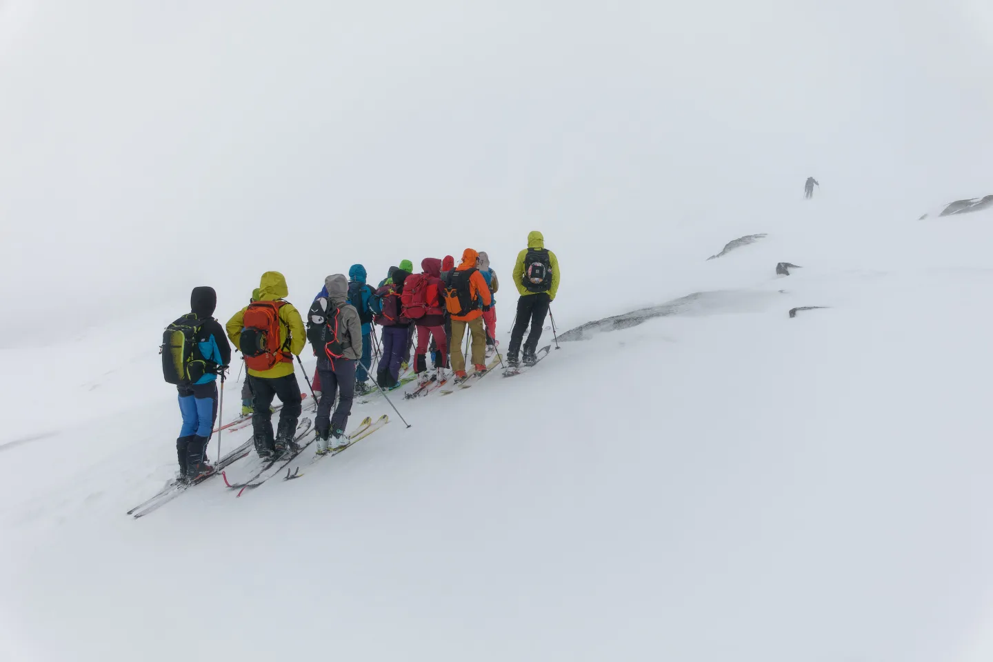 Tempo da lupi al colle