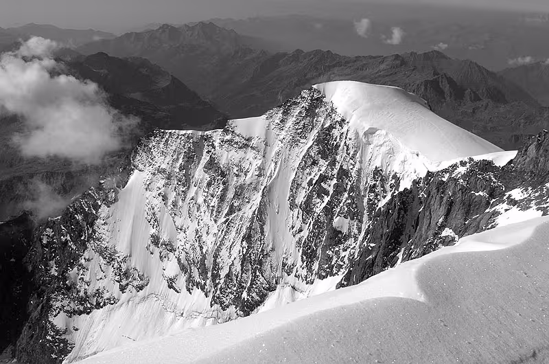 Dalla cima della parrot