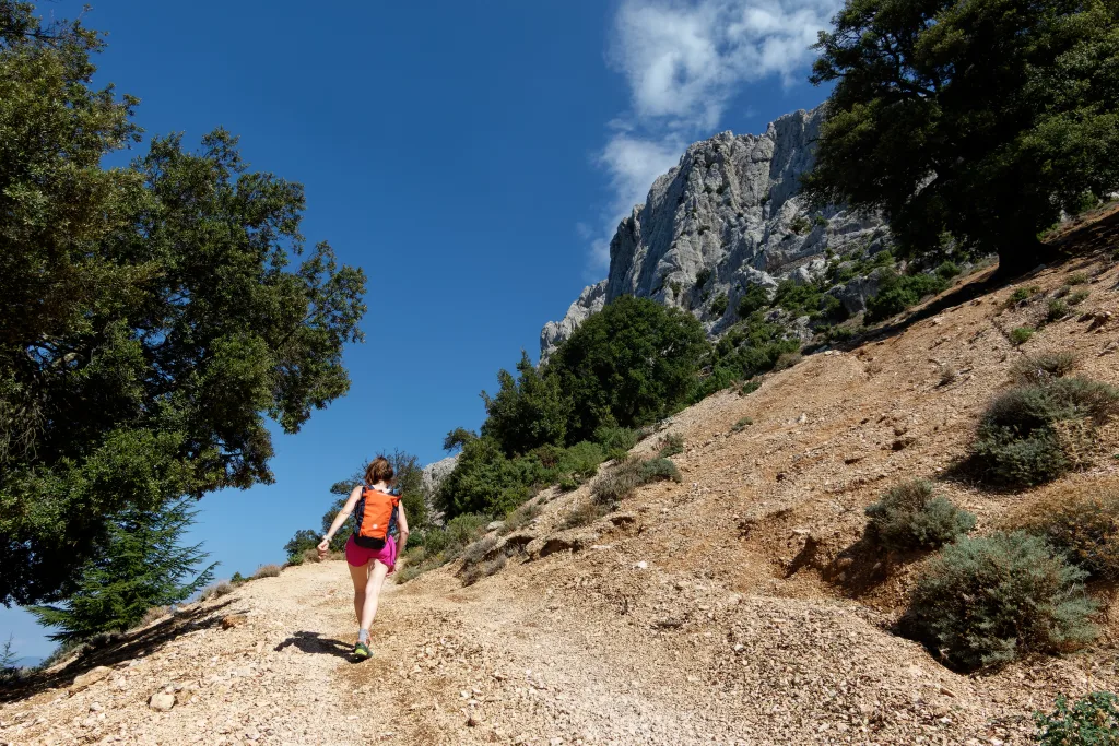 la mulattiera che parte dall'area di sosta di Tuones