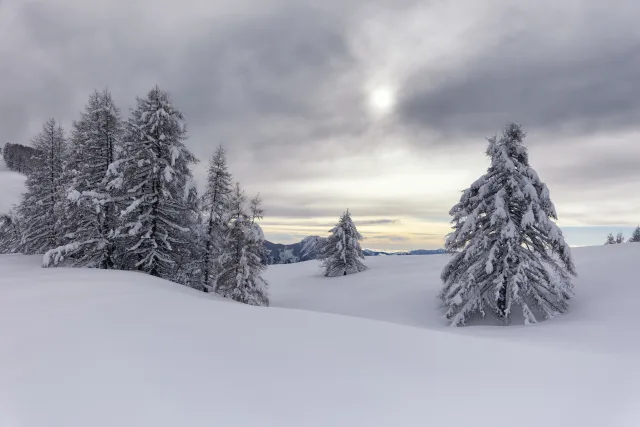 La magia della neve all’Alpe Paglio