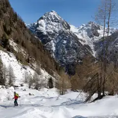 Curve finali tra sassi e rami